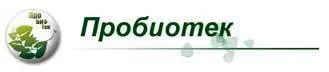 Фотоотчет о корпоративном мероприятии